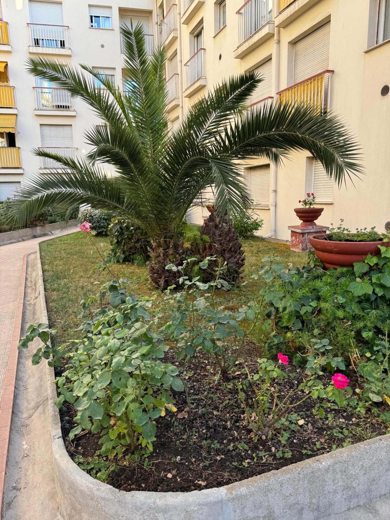 מנטון Residence Du Casino מראה חיצוני תמונה